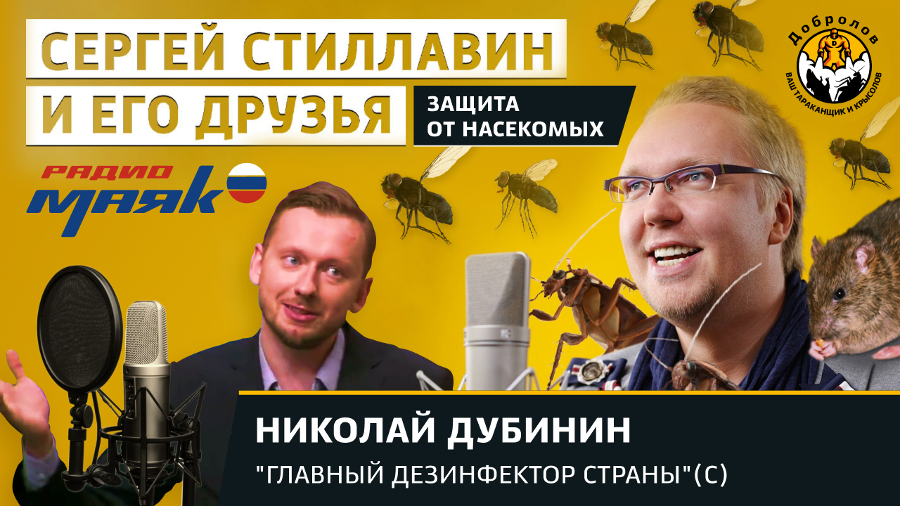 Как защититься от комаров, клещей и вирусов? Советы главного дезинфектора страны 